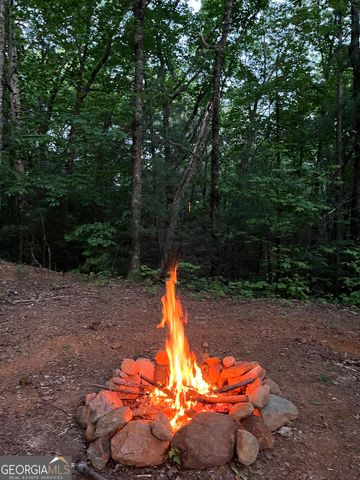 0 Pleasant Hill Trail, Ellijay, GA 30540