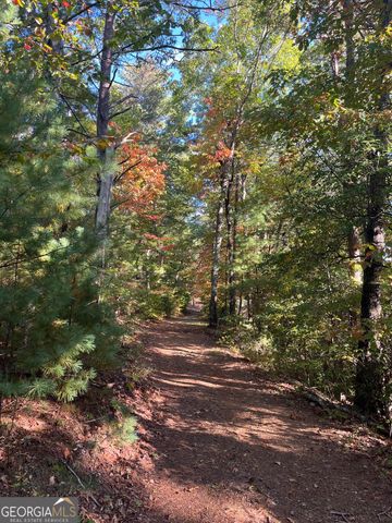 0 Pleasant Hill Trail, Ellijay, GA 30540
