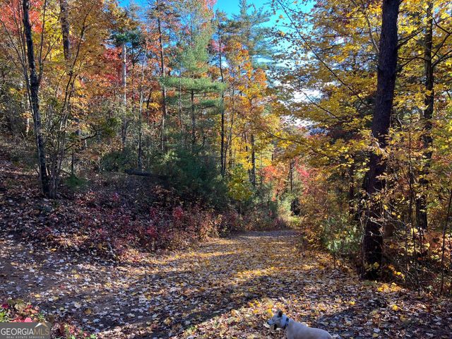 0 Pleasant Hill Trail, Ellijay, GA 30540