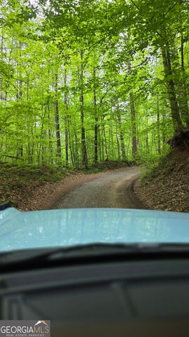 0 Pleasant Hill Trail, Ellijay, GA 30540