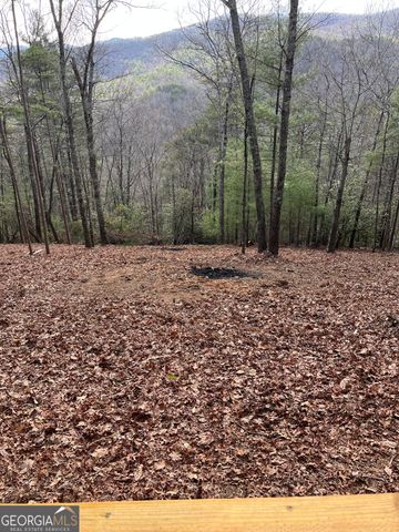 0 Pleasant Hill Trail, Ellijay, GA 30540