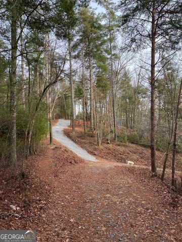 0 Pleasant Hill Trail, Ellijay, GA 30540