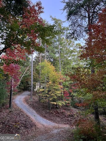 0 Pleasant Hill Trail, Ellijay, GA 30540