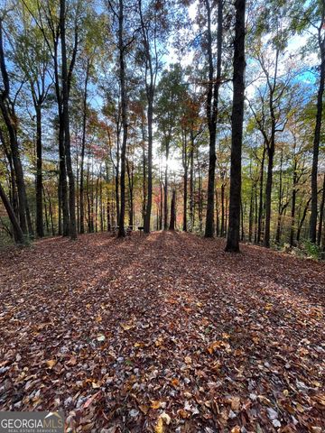 0 Pleasant Hill Trail, Ellijay, GA 30540