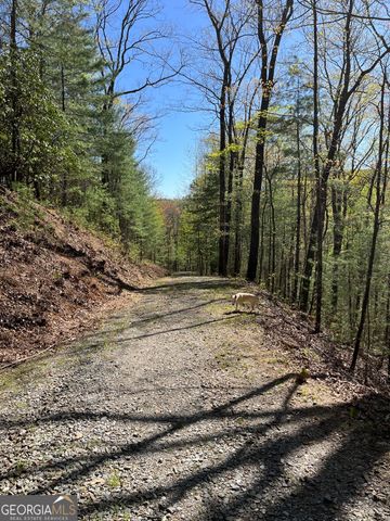 0 Pleasant Hill Trail, Ellijay, GA 30540