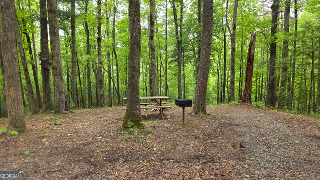 0 Pleasant Hill Trail, Ellijay, GA 30540