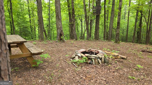 0 Pleasant Hill Trail, Ellijay, GA 30540