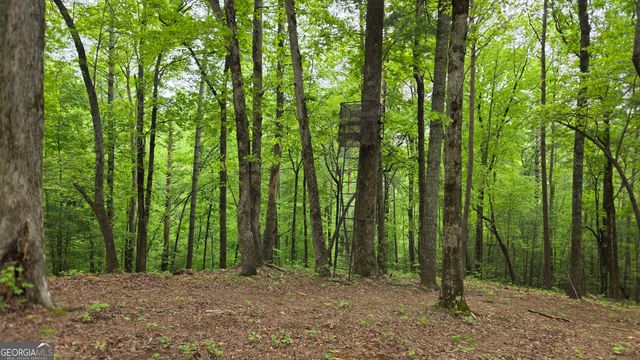 0 Pleasant Hill Trail, Ellijay, GA 30540