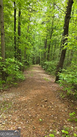 0 Pleasant Hill Trail, Ellijay, GA 30540