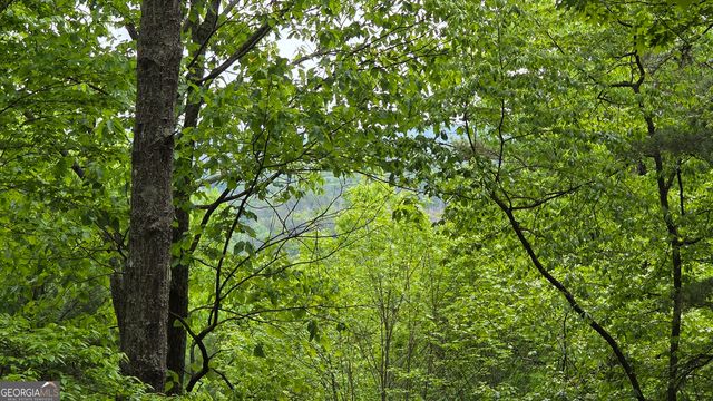 0 Pleasant Hill Trail, Ellijay, GA 30540