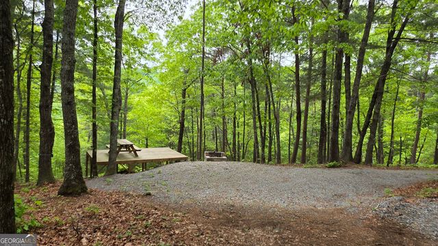 0 Pleasant Hill Trail, Ellijay, GA 30540