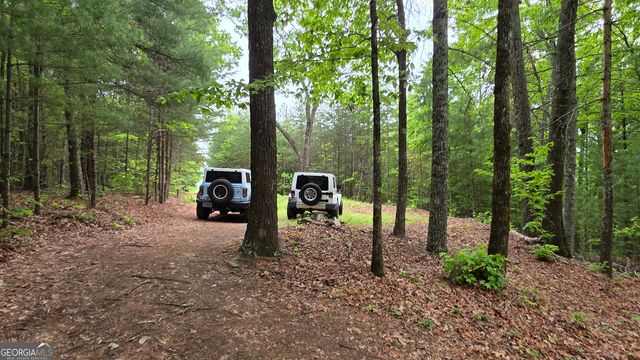 0 Pleasant Hill Trail, Ellijay, GA 30540
