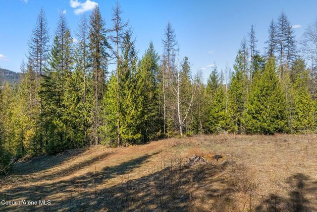 Lots 1 & 2 Cedar Acres, Priest River, ID 83856