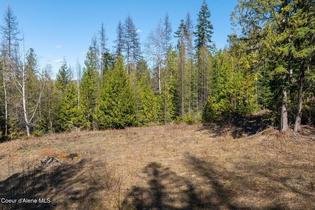 Lots 1 & 2 Cedar Acres, Priest River, ID 83856