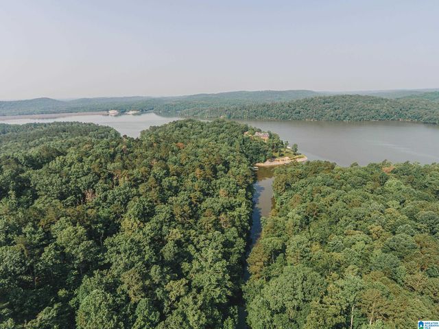2660 NANYEHI DRIVE, Ohatchee, AL 36271