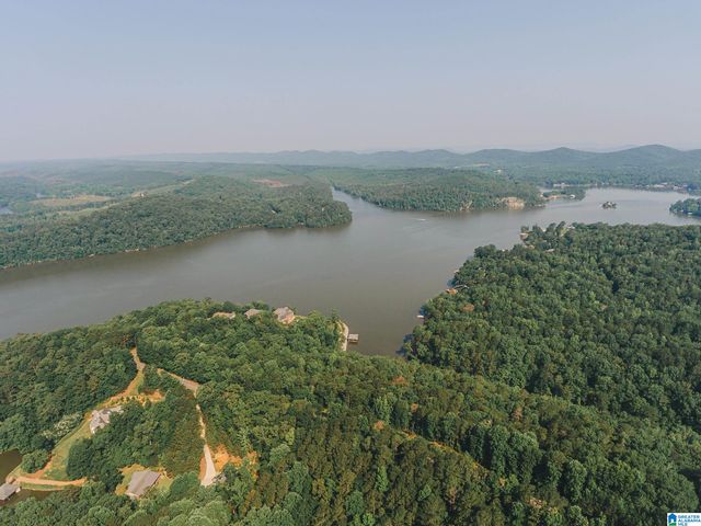 2660 NANYEHI DRIVE, Ohatchee, AL 36271