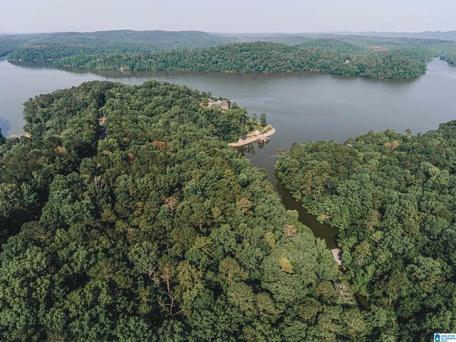 2660 NANYEHI DRIVE, Ohatchee, AL 36271