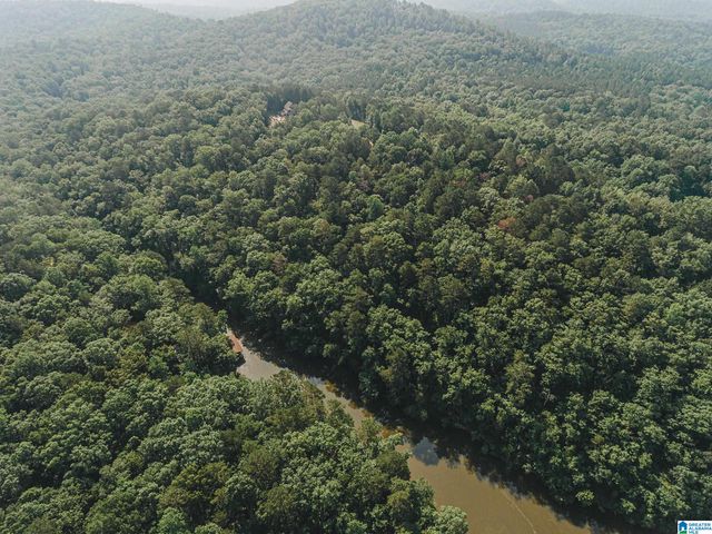 2660 NANYEHI DRIVE, Ohatchee, AL 36271