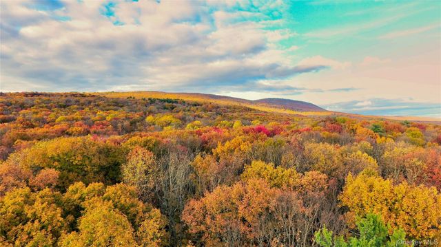 118 Marl Road, Pine Bush, NY 12566