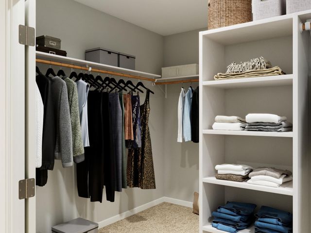 15619 Tranquil Pines Street, Conroe, TX 77302