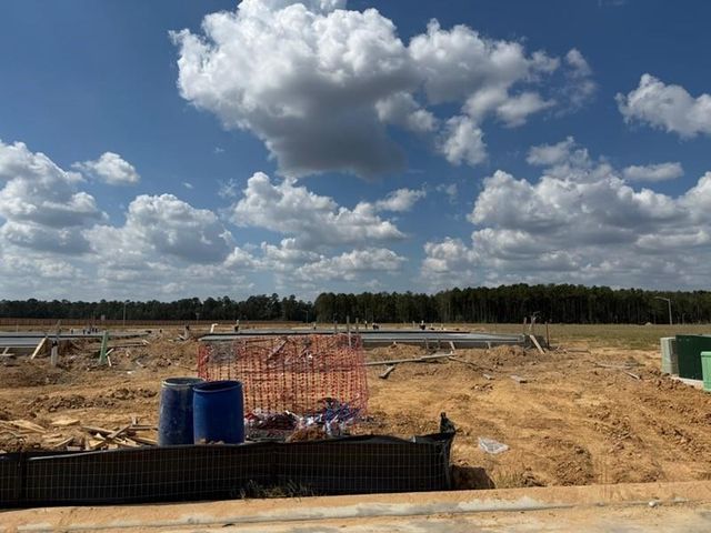 15619 Tranquil Pines Street, Conroe, TX 77302