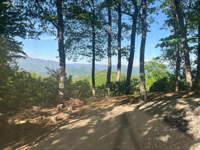 219 Lakeview Dr, Hayesville, NC 28904