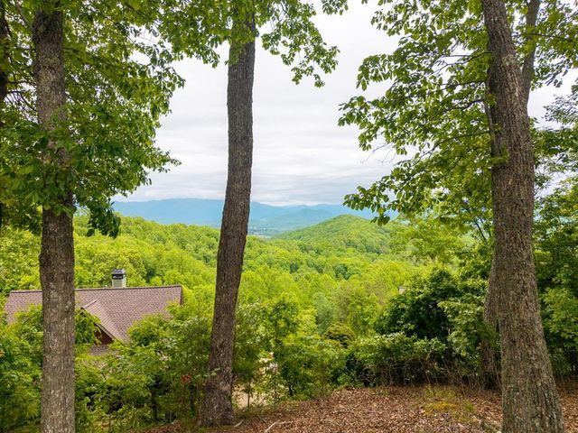 219 Lakeview Dr, Hayesville, NC 28904