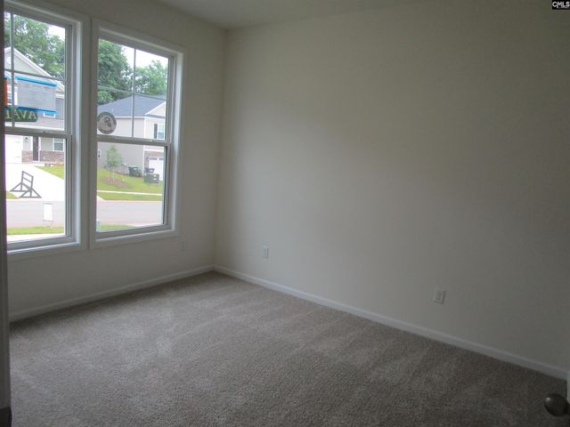 575 Griffon Drive, Chapin, SC 29036