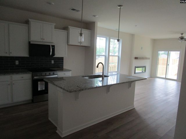 575 Griffon Drive, Chapin, SC 29036