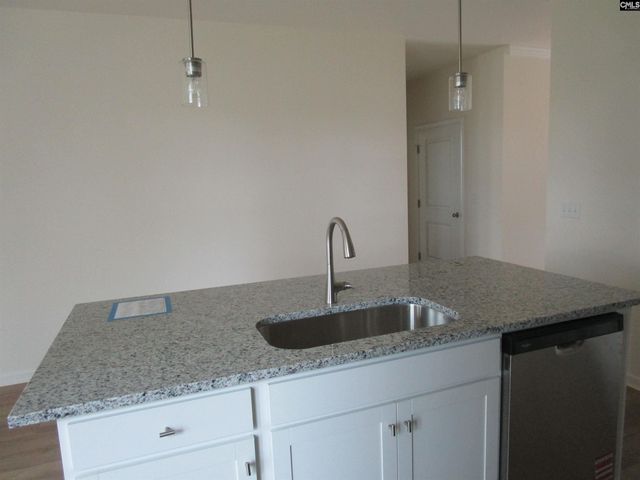 575 Griffon Drive, Chapin, SC 29036