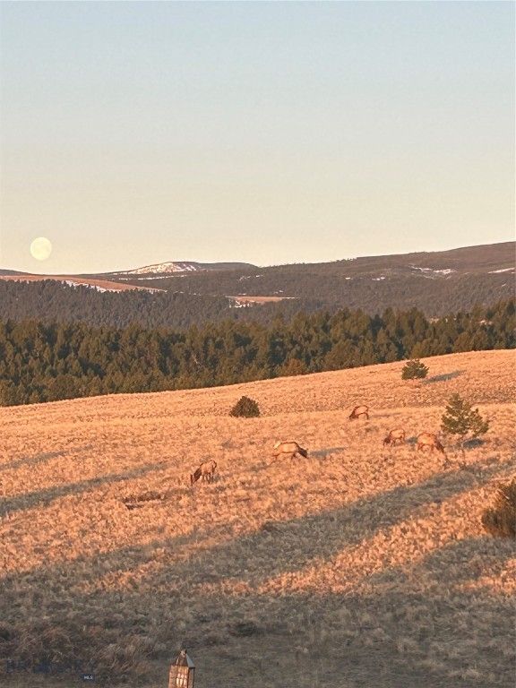 1380 Glacier View Dr, Deer Lodge, MT 59722 photo 79