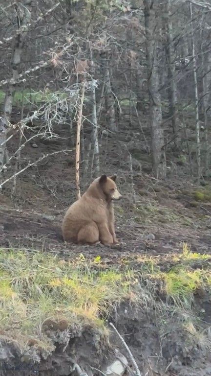 1380 Glacier View Dr, Deer Lodge, MT 59722 photo 98