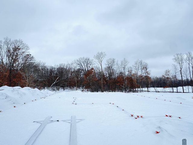 8195 Haywood Drive, Lino Lakes, MN 55014