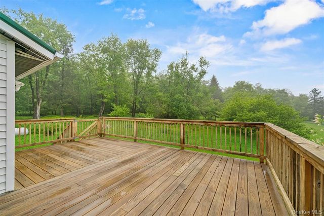 1013 Cooley Road, Parksville, NY 12768