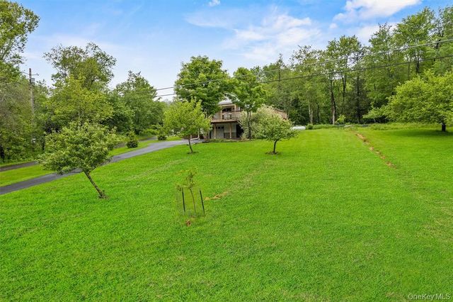 1013 Cooley Road, Parksville, NY 12768