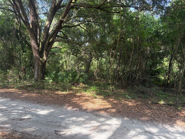 0000 CR 738, Webster, FL 33597