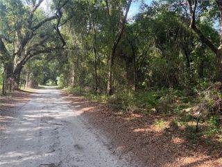 0000 CR 738, Webster, FL 33597