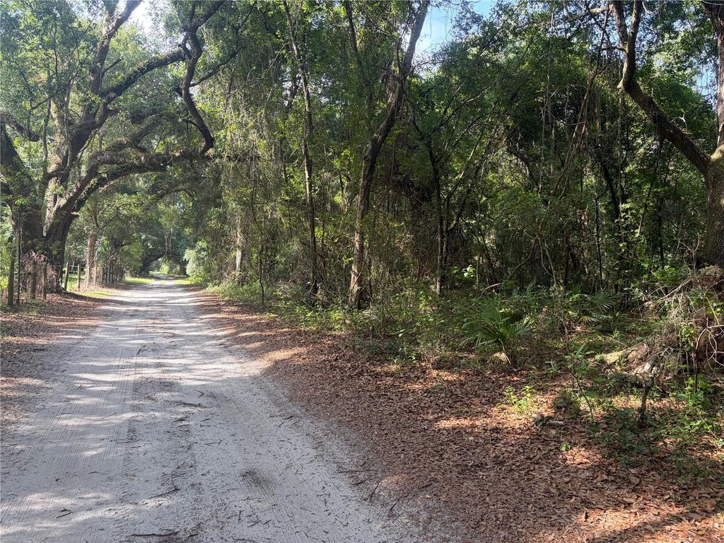 0000 CR 738, Webster, FL 33597