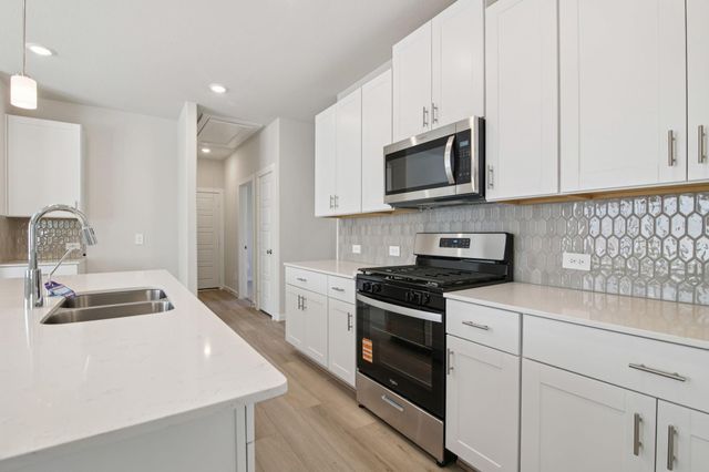 11428 Dark Amethyst Drive, Houston, TX 77048