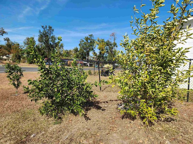 1137 SW SR 14, Madison, FL 32340