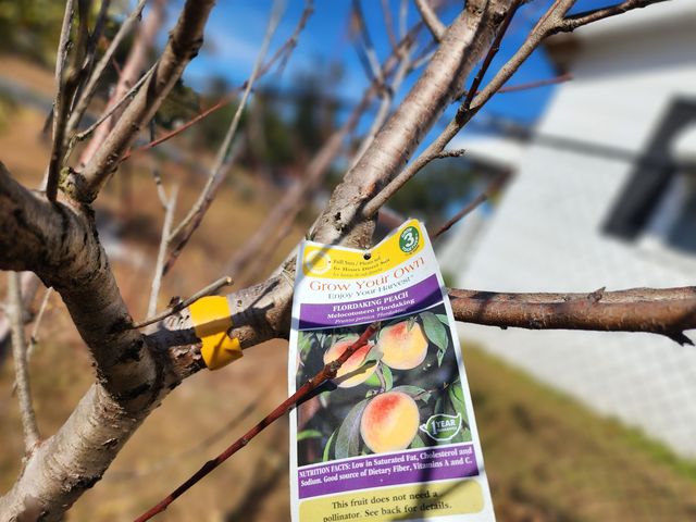 1137 SW SR 14, Madison, FL 32340