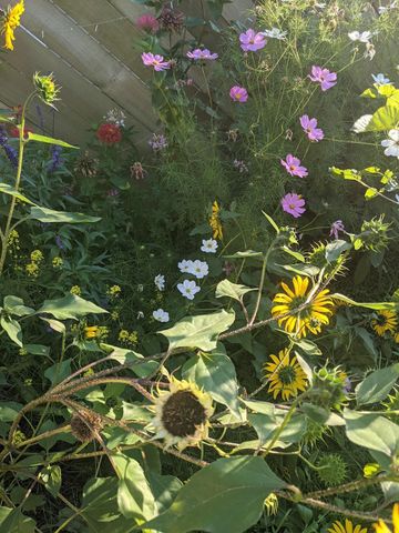 1501 Elm Street S, Cambridge, MN 55008