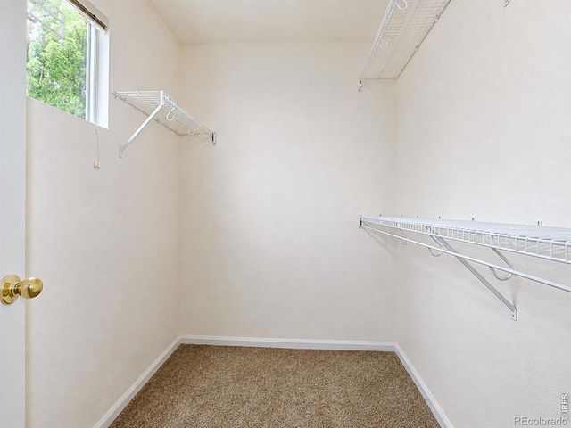 703 Crown Ridge Lane 4, Fort Collins, CO 80525