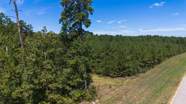 15881 Wood Grove Way, Willis, TX 77378
