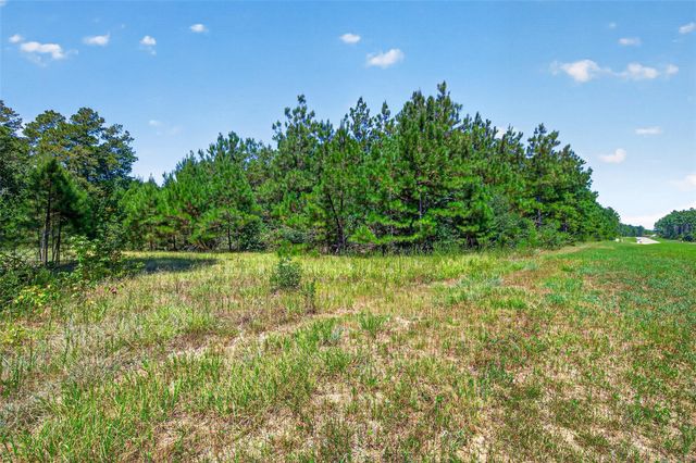15881 Wood Grove Way, Willis, TX 77378