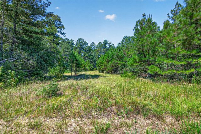 15881 Wood Grove Way, Willis, TX 77378