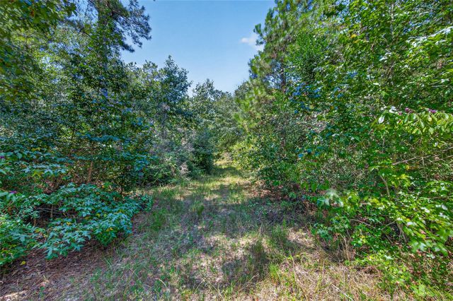 15881 Wood Grove Way, Willis, TX 77378