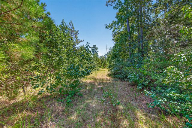 15881 Wood Grove Way, Willis, TX 77378