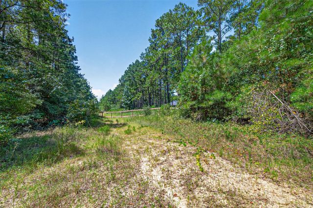 15881 Wood Grove Way, Willis, TX 77378