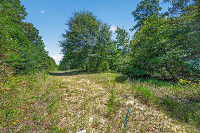 15881 Wood Grove Way, Willis, TX 77378